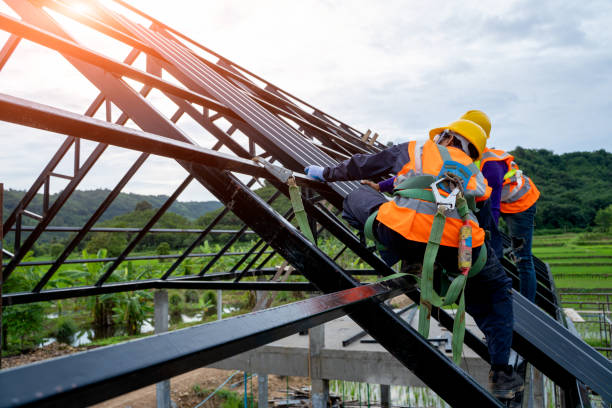 Best Roof Gutter Cleaning  in Anna, IL